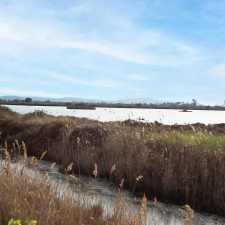 Les Regates-1 By Interhome Apartament